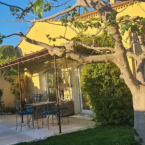 Un Petit Coin De Paradis Hébergement de vacances